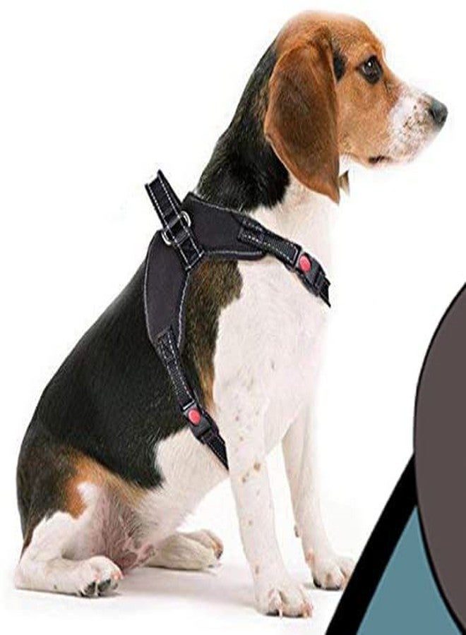 KittuPet حزام صدر للكلاب من KittuPet، حزام قابل للتعديل للكلاب الكبيرة والصغيرة والمتوسطة الحجم والقطط والأرانب وجميع سلالات الحيوانات (كبير، أسود) - Image 5